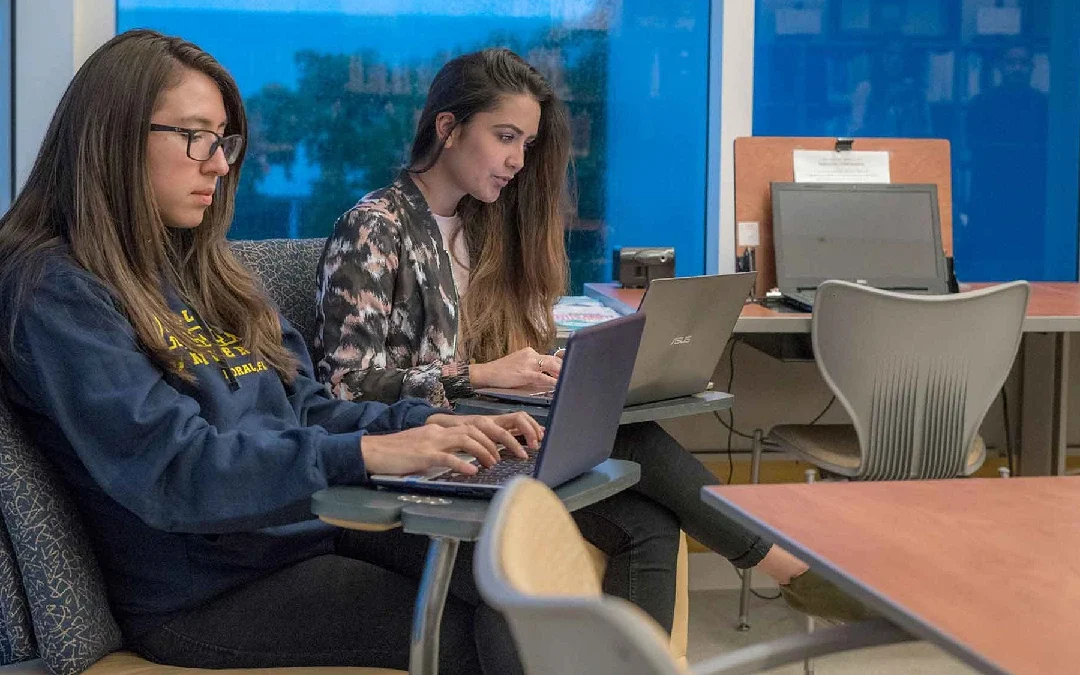 Millennia Atlantic University Alumni Association Welcomes New Board Members